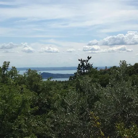 La casetta nel bosco-3